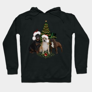 Christmas time Hoodie